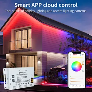 DC48V Smart RGBW Ip68 LED Strip Light